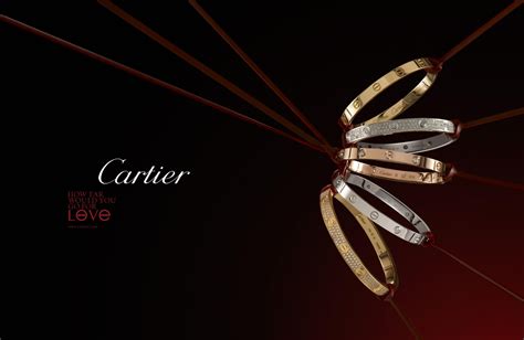 cartier its dutch|cartier brand portrait.